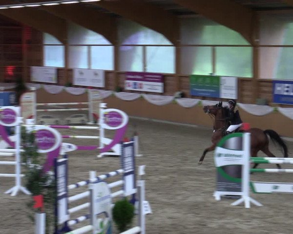 Reitturnier Xanten - Reitanlage Miss 2023