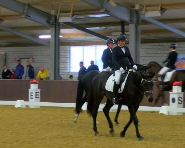 Reitturnier Bottrop-Kirchhellen 2023