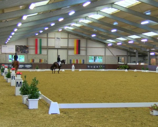 Reitturnier Bottrop-Kirchhellen 2023