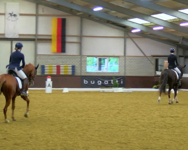 Reitturnier Bottrop-Kirchhellen 2023