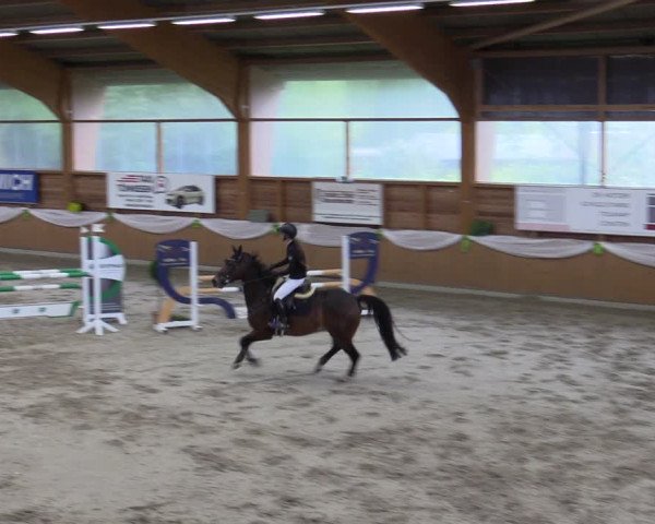 Reitturnier Xanten - Reitanlage Miss 2023