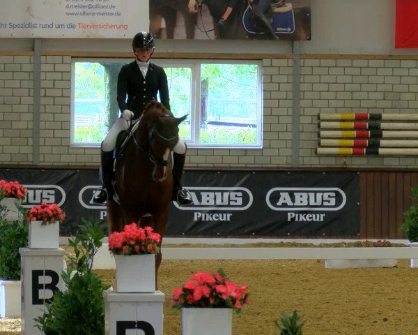 Reitturnier Bottrop-Kirchhellen 2023