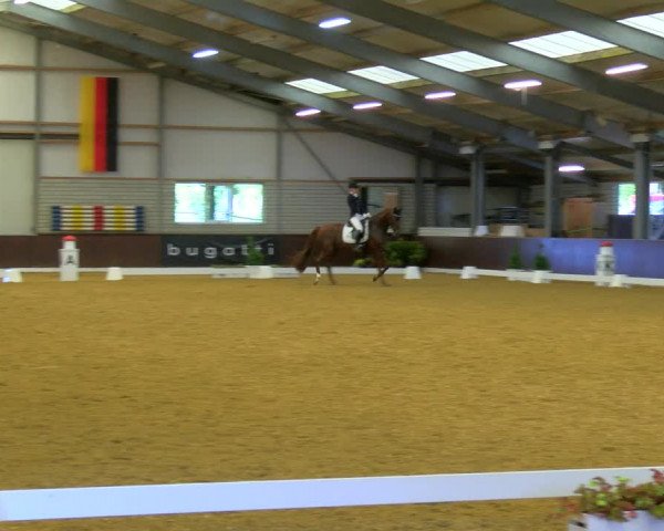 Reitturnier Bottrop-Kirchhellen 2023