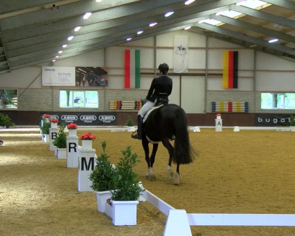 Reitturnier Bottrop-Kirchhellen 2023