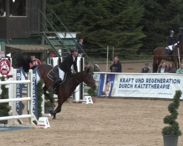 Reitturnier Ranshofen - Braunau am Inn 2023