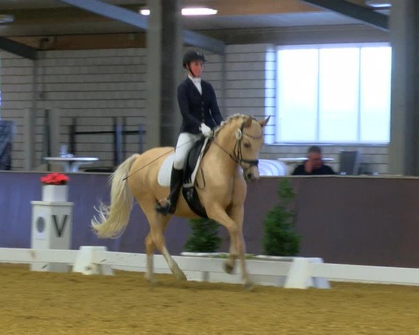 Reitturnier Bottrop-Kirchhellen 2023