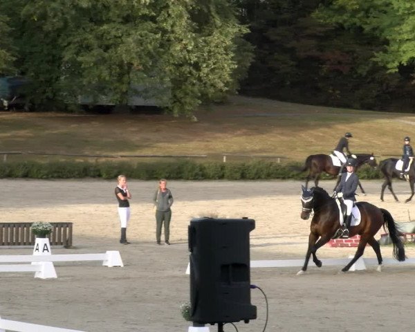 Reitturnier Tübingen 2023