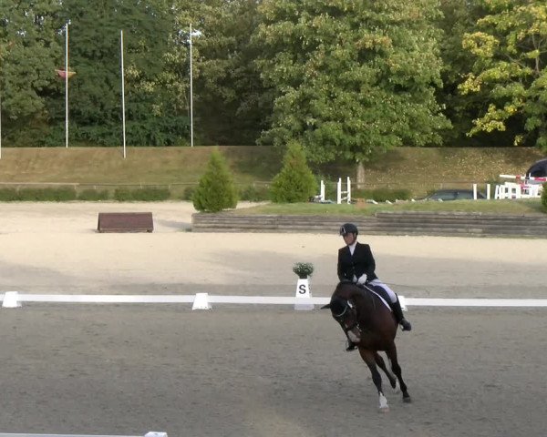 Reitturnier Tübingen 2023