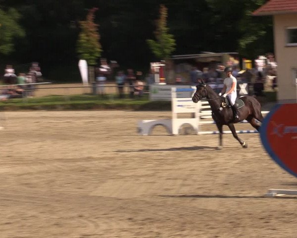 Reitturnier Lgl.-Oberhain, B95 2021