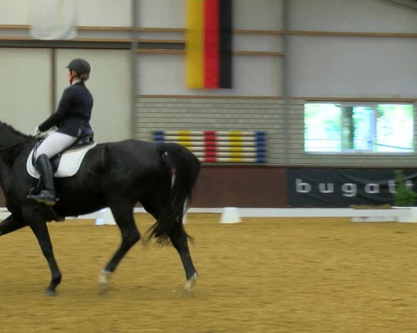 Reitturnier Bottrop-Kirchhellen 2023