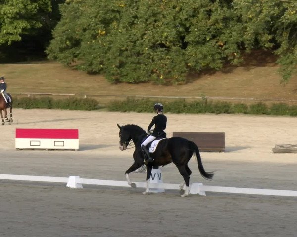 Reitturnier Tübingen 2023