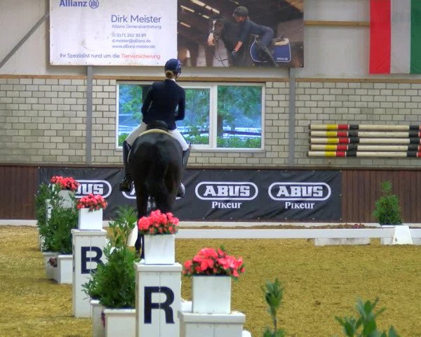 Reitturnier Bottrop-Kirchhellen 2023