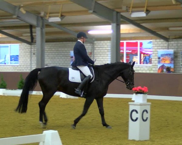 Reitturnier Bottrop-Kirchhellen 2023