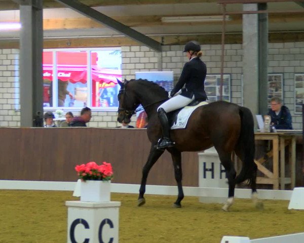 Reitturnier Bottrop-Kirchhellen 2023
