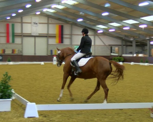 Reitturnier Bottrop-Kirchhellen 2023