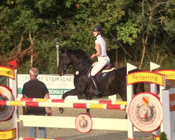 Reitturnier Forst 2021