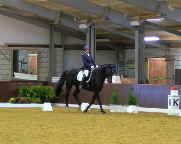 Reitturnier Bottrop-Kirchhellen 2023