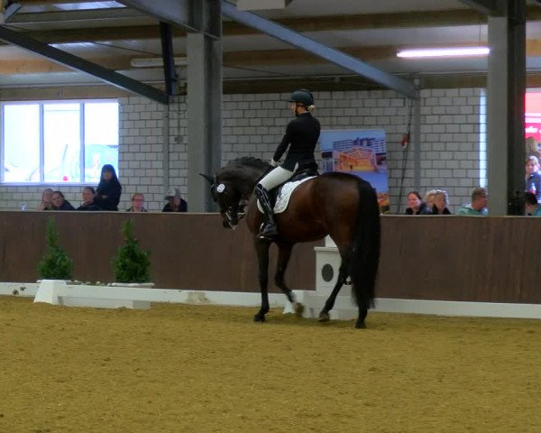 Reitturnier Bottrop-Kirchhellen 2023