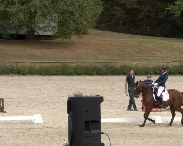 Reitturnier Tübingen 2023