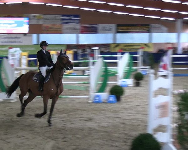 Reitturnier Isterberg 2023