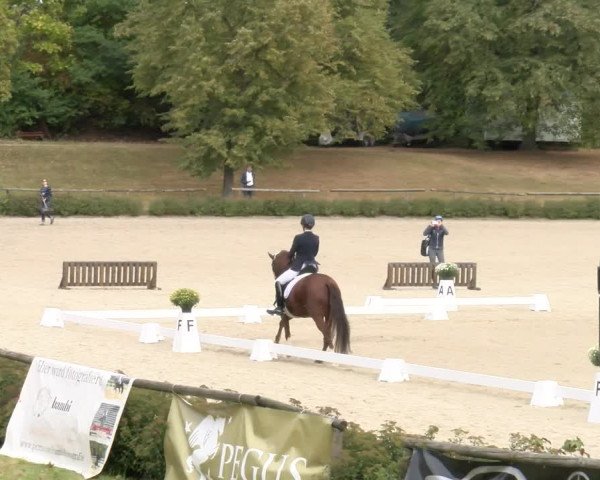 Reitturnier Tübingen 2023
