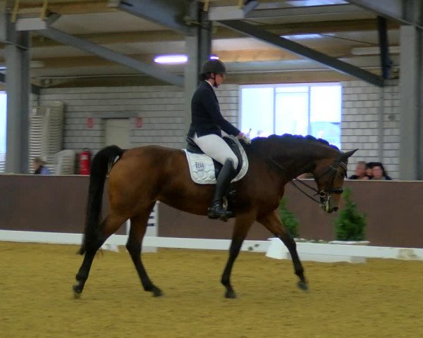 Reitturnier Bottrop-Kirchhellen 2023