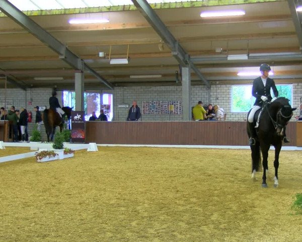 Reitturnier Bottrop-Kirchhellen 2023