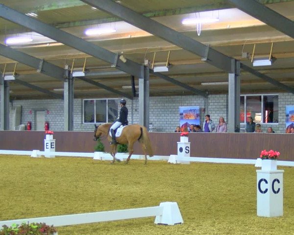 Reitturnier Bottrop-Kirchhellen 2023