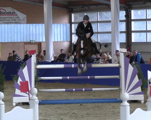 Reitturnier Isterberg 2023