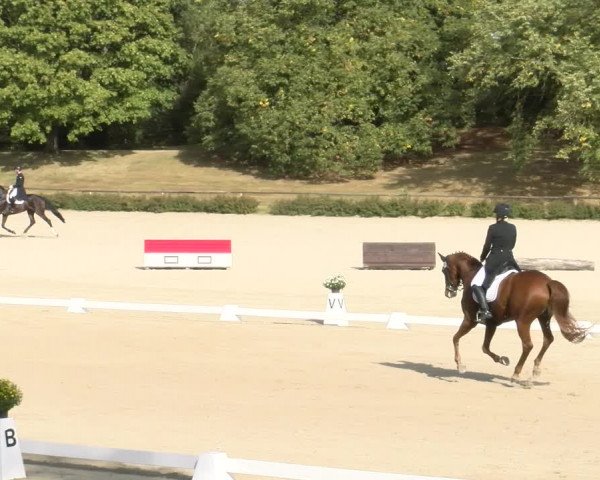 Reitturnier Tübingen 2023