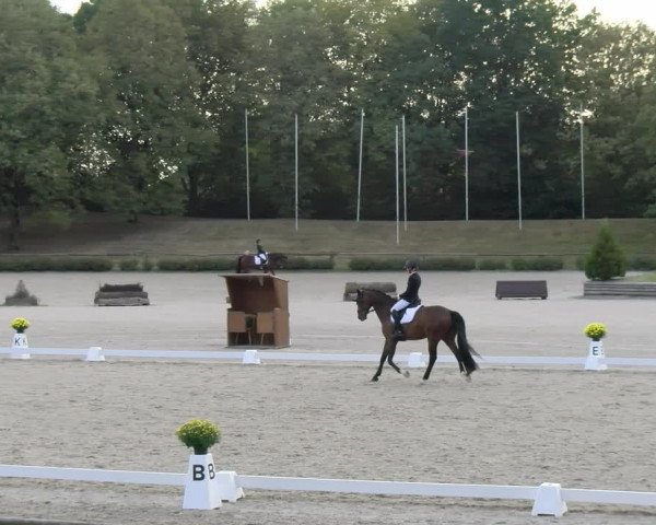 Reitturnier Tübingen 2023