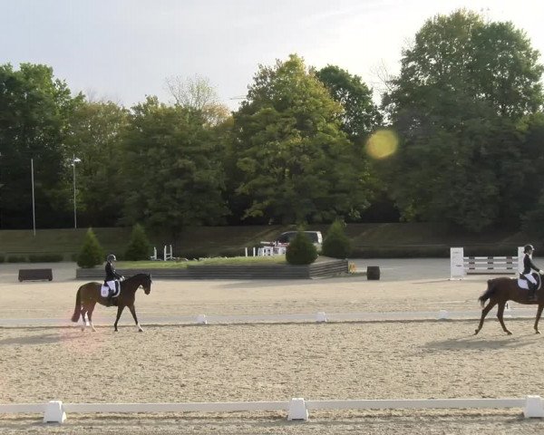 Reitturnier Tübingen 2023