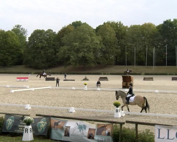Reitturnier Tübingen 2023