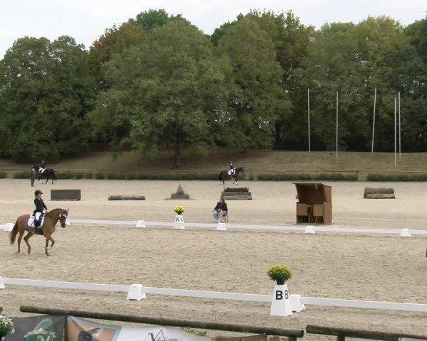 Reitturnier Tübingen 2023