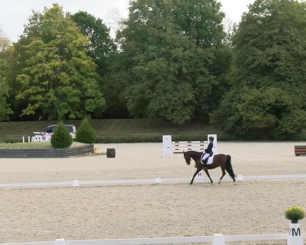 Reitturnier Tübingen 2023