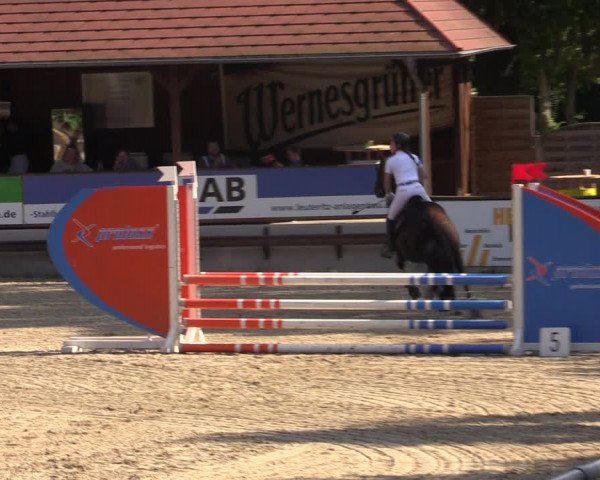 Reitturnier Lgl.-Oberhain, B95 2021