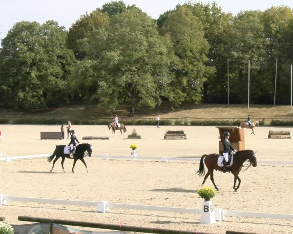 Reitturnier Tübingen 2023