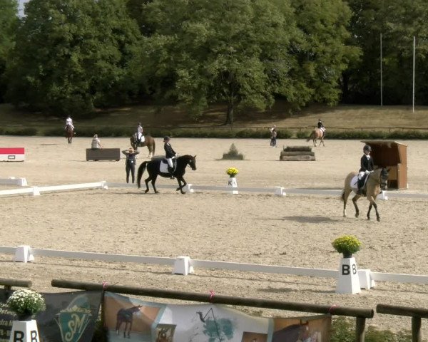 Reitturnier Tübingen 2023