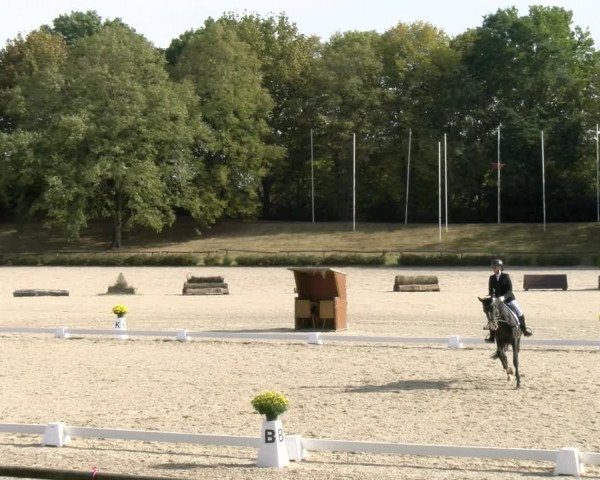 Reitturnier Tübingen 2023