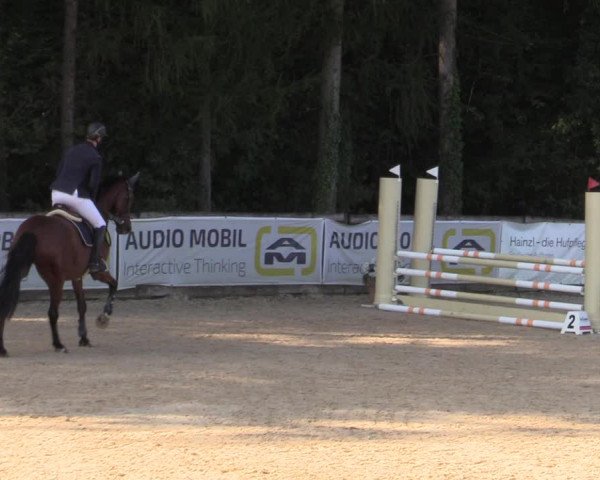 Reitturnier Ranshofen - Braunau am Inn 2023