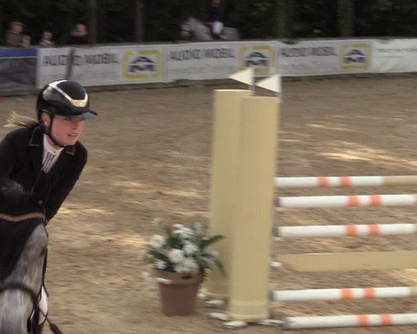 Reitturnier Ranshofen - Braunau am Inn 2023