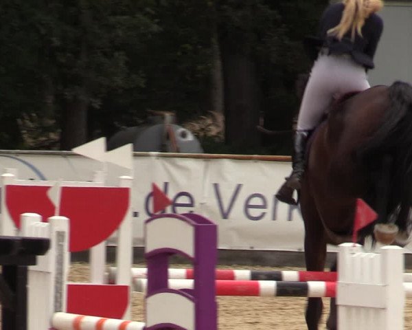 Reitturnier Ranshofen - Braunau am Inn 2023