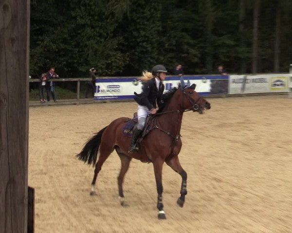 Reitturnier Ranshofen - Braunau am Inn 2023