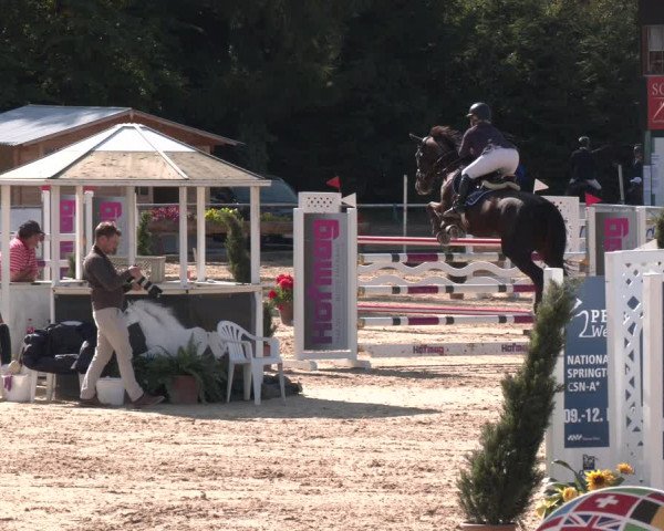 Reitturnier Ranshofen - Braunau am Inn 2023