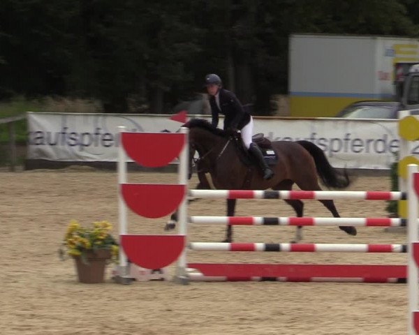 Reitturnier Ranshofen - Braunau am Inn 2023