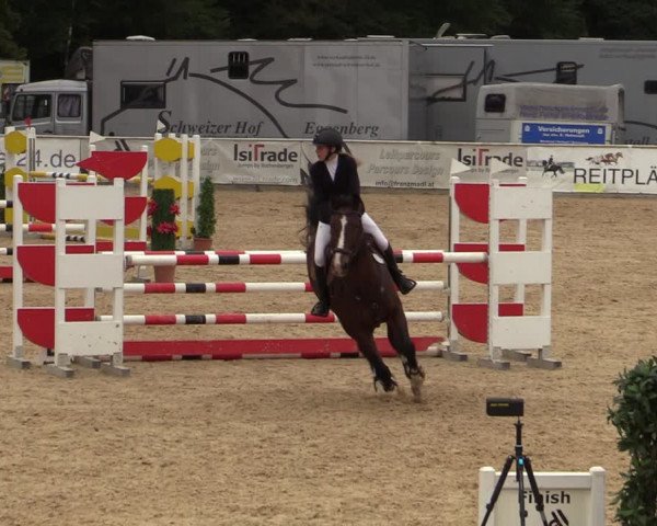 Reitturnier Ranshofen - Braunau am Inn 2023