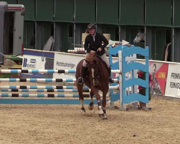 Reitturnier Ranshofen - Braunau am Inn 2023