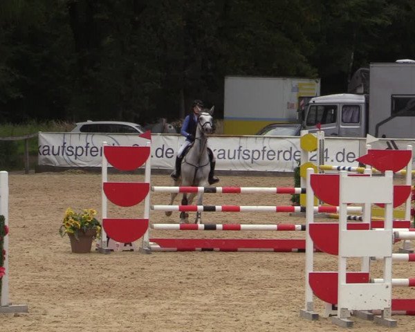 Reitturnier Ranshofen - Braunau am Inn 2023