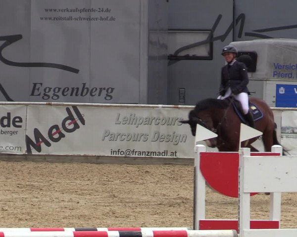 Reitturnier Ranshofen - Braunau am Inn 2023