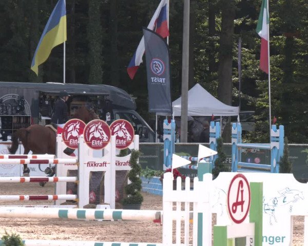 Reitturnier Ranshofen - Braunau am Inn 2023